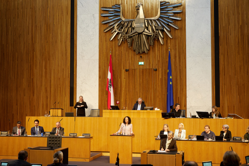 Am Redner:innenpult Nationalratsabgeordnete Margreth Falkner (ÖVP)