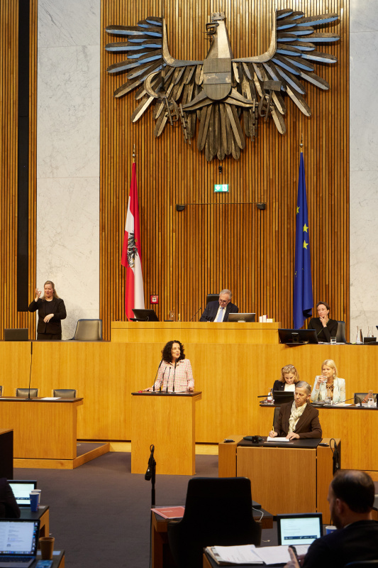 Am Redner:innenpult Nationalratsabgeordnete Margreth Falkner (ÖVP)