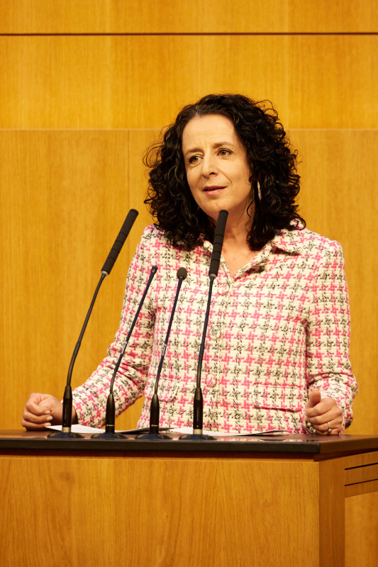 Am Redner:innenpult Nationalratsabgeordnete Margreth Falkner (ÖVP)