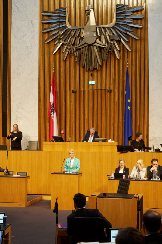 Am Redner:innenpult Nationalratsabgeordnete Irene Neumann-Hartberger (ÖVP)