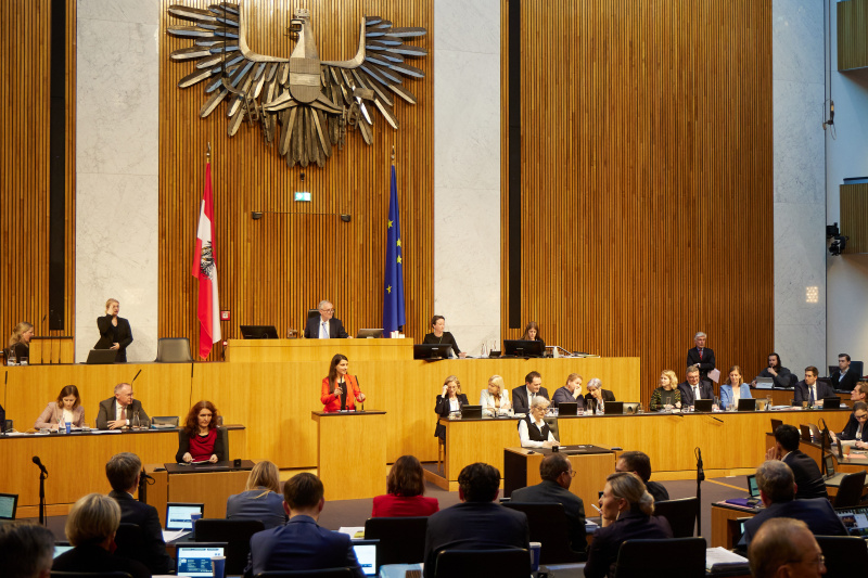 Am Redner:innenpult Nationalratsabgeordnete Meri Disoski (GRÜNE)