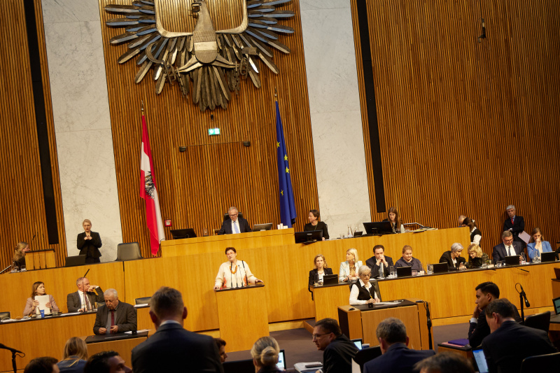 Nationalratsabgeordnete Petra Bayr (SPÖ)