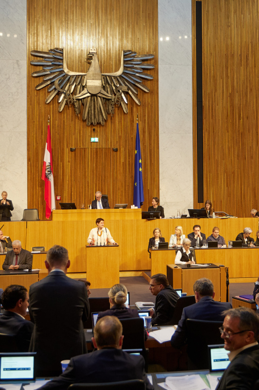 Nationalratsabgeordnete Petra Bayr (SPÖ)