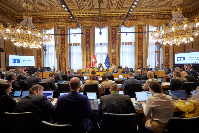 Am Redner:innenpult Bundesrätin Manuela-Anna Sumah-Vospernik (NEOS)