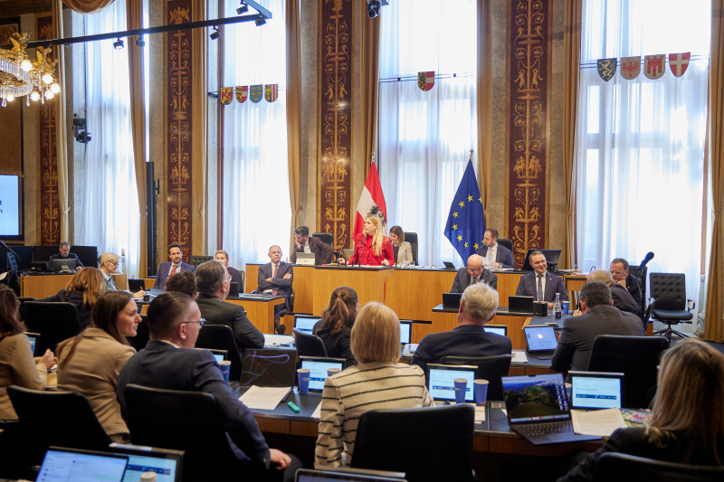 Am Redner:innenpult Bundesrätin Isabella Theuermann (FPÖ)