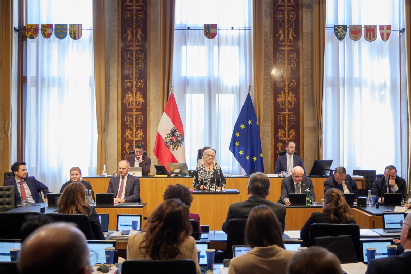 Am Redner:innenpult Irene Partl (FPÖ)