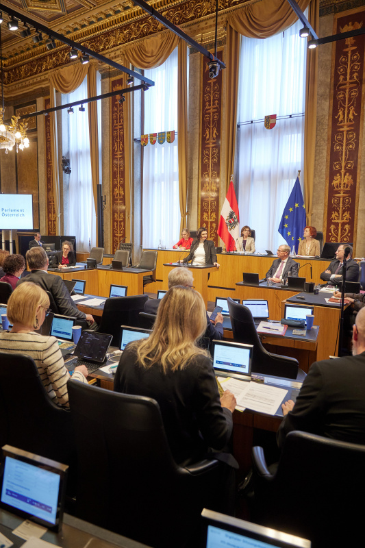 Am Redner:innenpult Bundesrätin Manuela-Anna Sumah-Vospernik (NEOS)