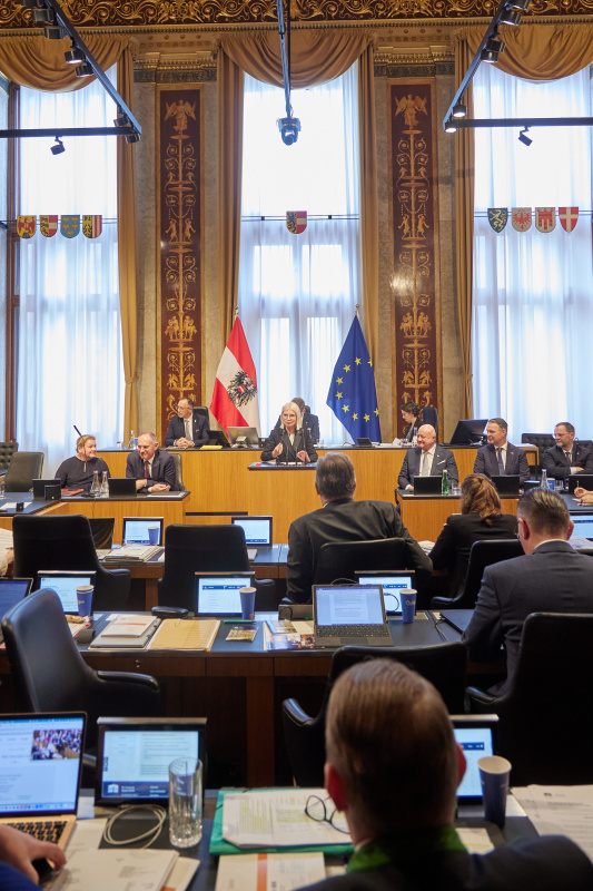 Am Redner:innenpult Bundesrätin Gabriele Kolar (SPÖ)