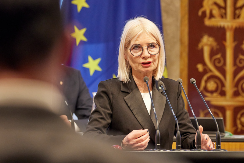 Am Redner:innenpult Bundesrätin Gabriele Kolar (SPÖ)