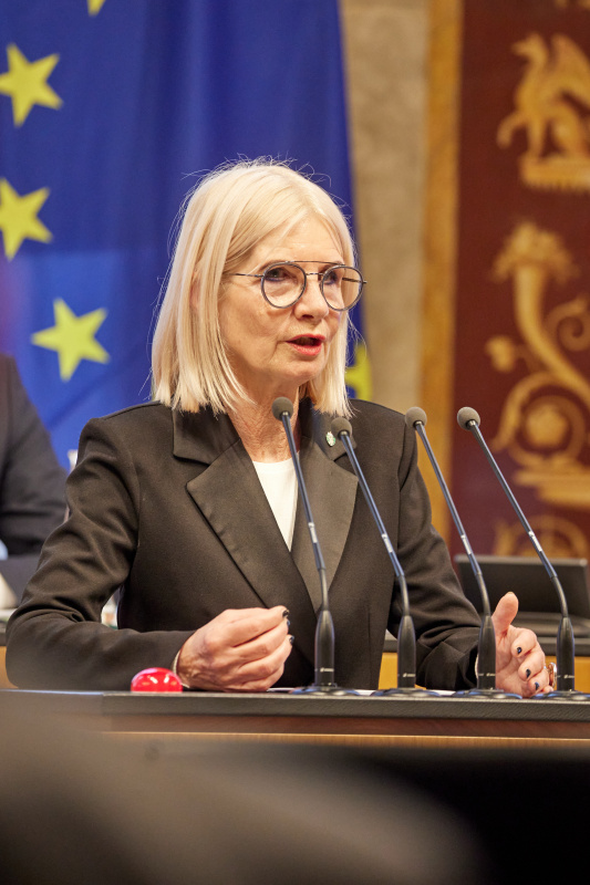 Am Redner:innenpult Bundesrätin Gabriele Kolar (SPÖ)