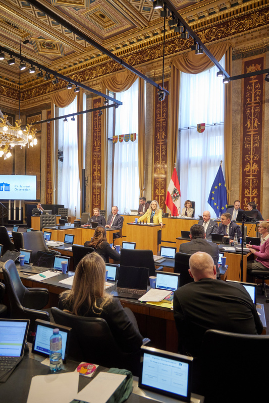 Am Redner:innenpult Bundesrätin Simone Jagl (GRÜNE)