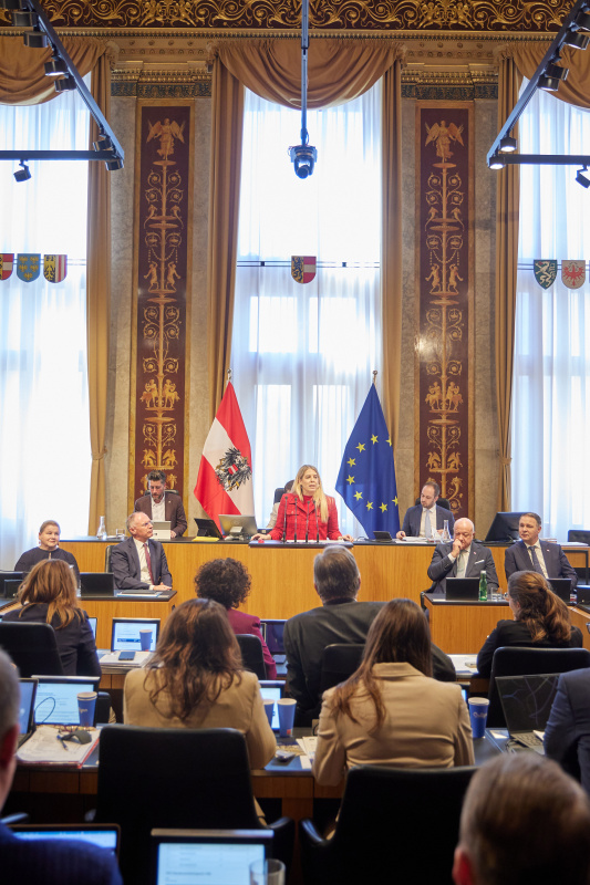 Am Redner:innenpult Bundesrätin Isabella Theuermann (FPÖ)