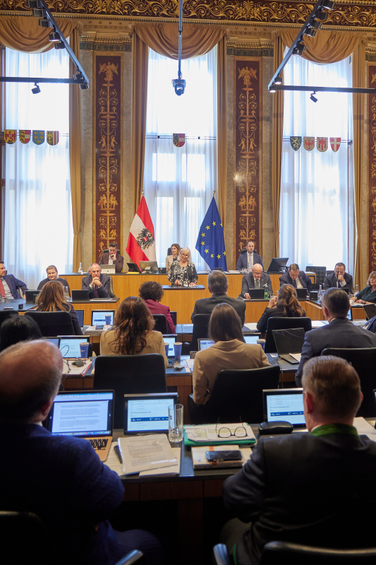 Am Redner:innenpult Irene Partl (FPÖ)