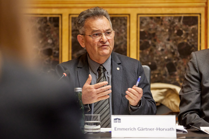 Diskussion & Statements der Volkgruppenbeiräte. Vorsitzender Volkgruppenbeirat Roma Emmerich Gärtner-Horvath