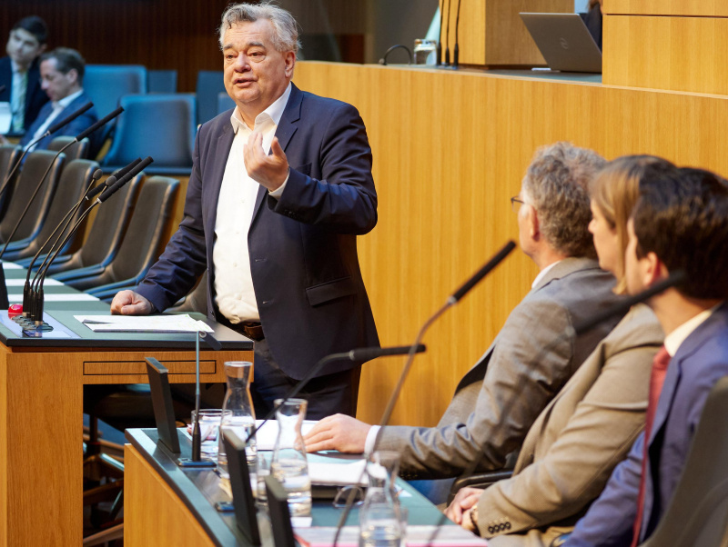 Grünen-Chef Werner Kogler am Rednerinnen:pult