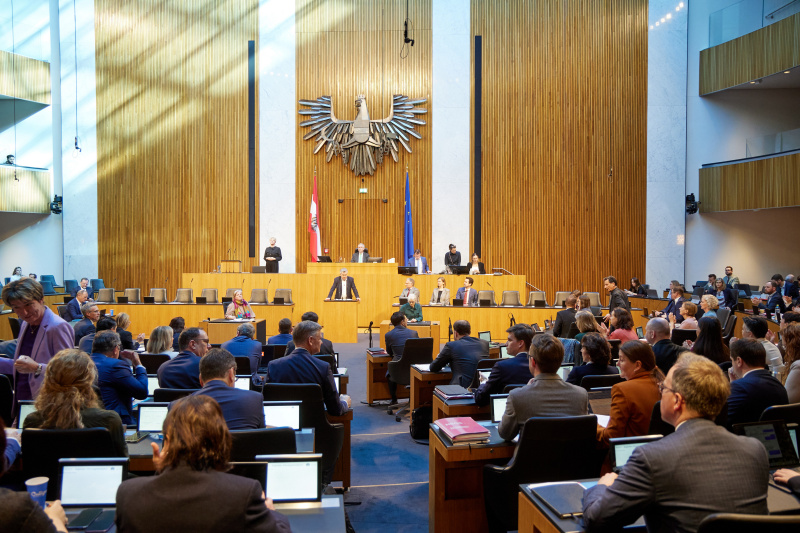 Am Redner:innenpult: Nationalratsabgeordneter Werner Kogler (GRÜNE)