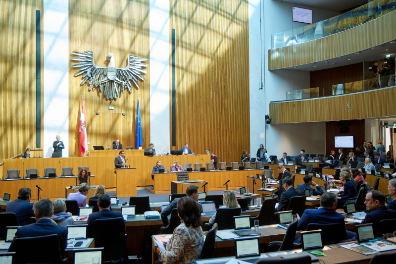 Am Redner:innenpult: Nationalratsabgeordneter Christoph Steiner (FPÖ)