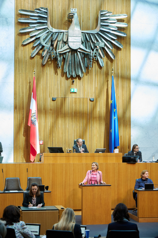 Am Redner:innenpult: Nationalratsabgeordnete Heike Eder (ÖVP)