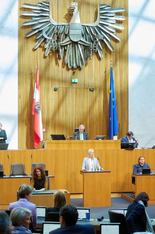 Am Redner:innenpult: Nationalratsabgeordnete Verena Nussbaum (SPÖ)