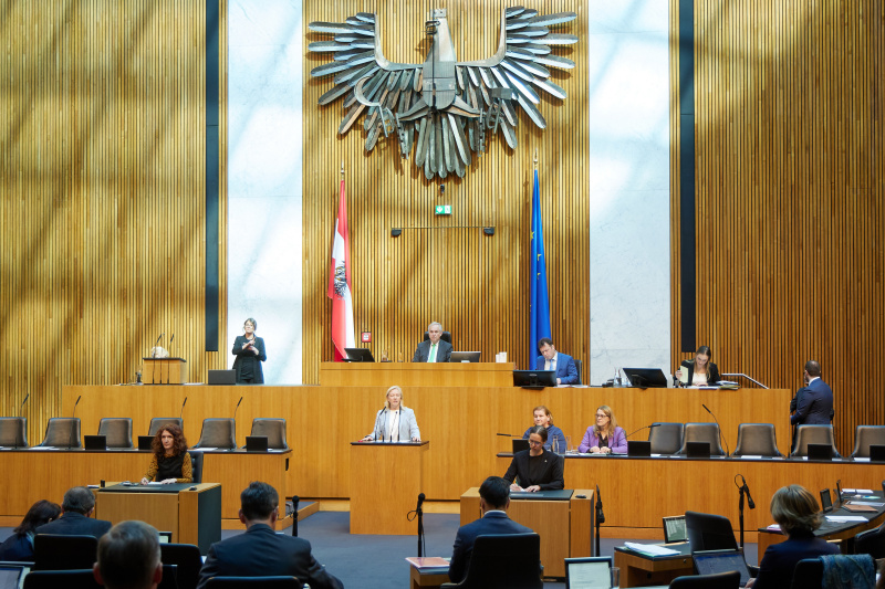 Am Redner:innenpult: Nationalratsabgeordnete Verena Nussbaum (SPÖ)