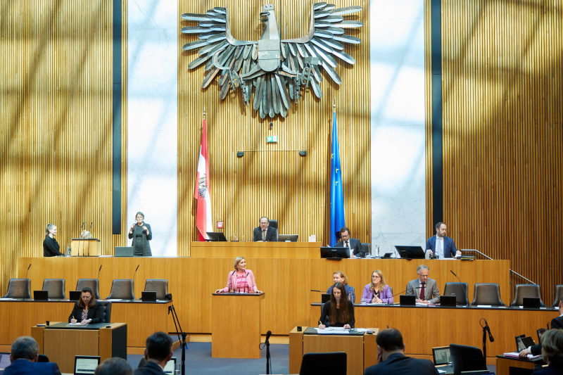 Am Redner:innenpult: Nationalratsabgeordnete Heike Eder (ÖVP)