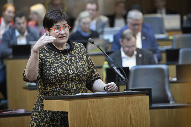 Fragestellung Nationalratsabgeordnete Petra Bayr (SPÖ)
