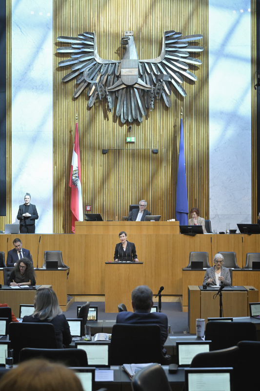 Am Redner:innenpult: Nationalratsabgeordnete Henrike Brandstötter (NEOS)