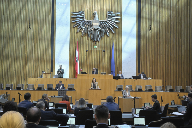 Am Redner:innenpult: Nationalratsabgeordnete Lisa Schuch-Gubik (FPÖ)