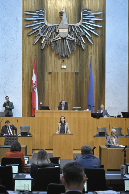 Am Redner:innenpult: Nationalratsabgeordnete Lisa Schuch-Gubik (FPÖ)