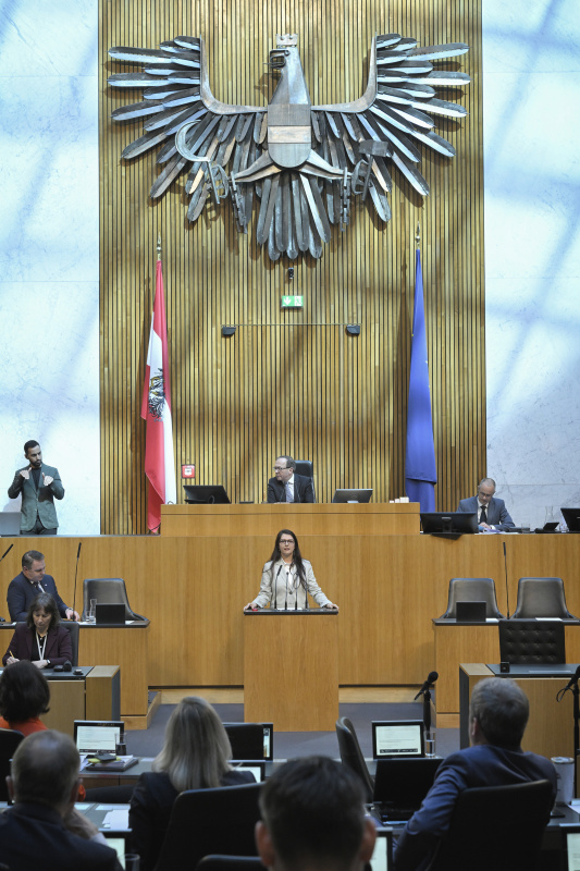 Am Redner:innenpult: Nationalratsabgeordnete Muna Duzdar (SPÖ)