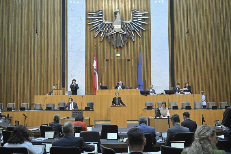 Am Redner:innenpult: Nationalratsabgeordnete Sabine Schatz (SPÖ)