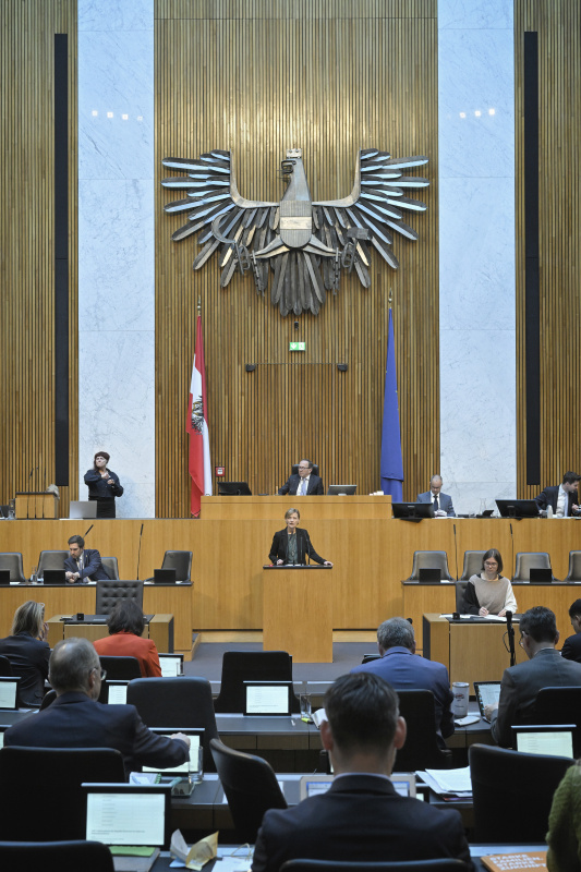 Am Redner:innenpult: Nationalratsabgeordnete Sabine Schatz (SPÖ)