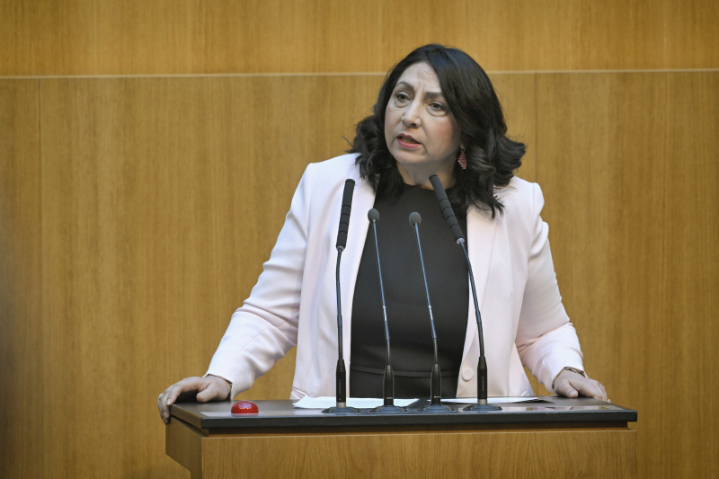 Am Redner:innenpult: Nationalratsabgeordnete Selma Yildirim (SPÖ)