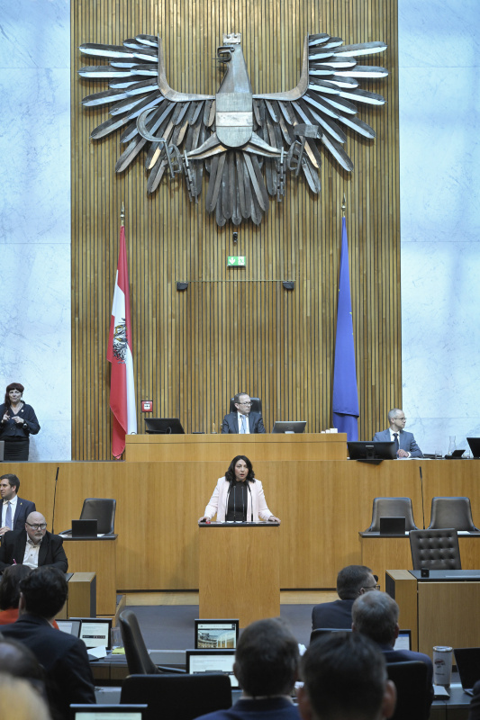 Am Redner:innenpult: Nationalratsabgeordnete Selma Yildirim (SPÖ)