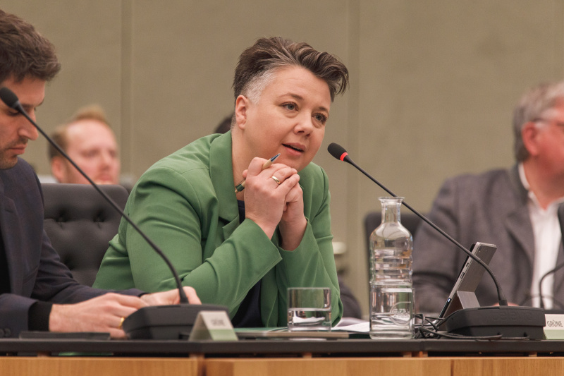 Nationalratsabgeordnete Olga Voglauer (Grüne)