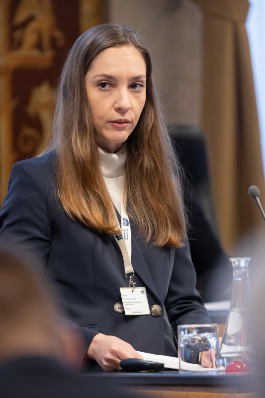 Vortrag. Psychologin Pia Müllauer, Kepler Universitätsklinikum, Neuromed Campus Linz