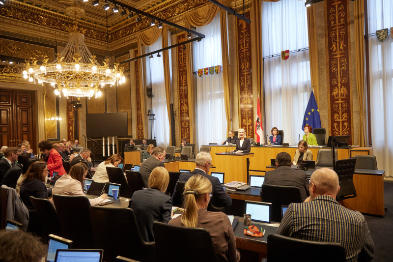 Am Redner:innenpult: Bundesrätin Gabriele Kolar (SPÖ)