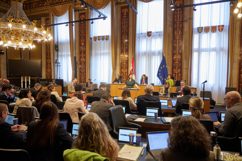 Am Redner:innenpult: Bundesrätin Manuela-Anna Sumah-Vospernik (NEOS)