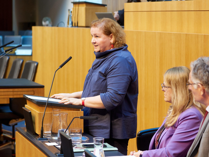Sozialministerin Korinna Schumann im Nationalratssaal