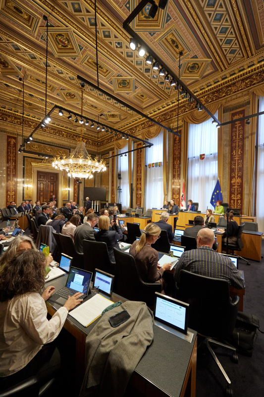 Am Redner:innenpult: Bundesrätin Bernadette Geieregger (ÖVP)