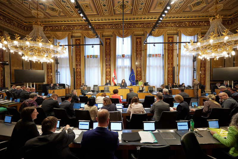 Am Redner:innenpult: Bundesrätin Bernadette Geieregger (ÖVP)