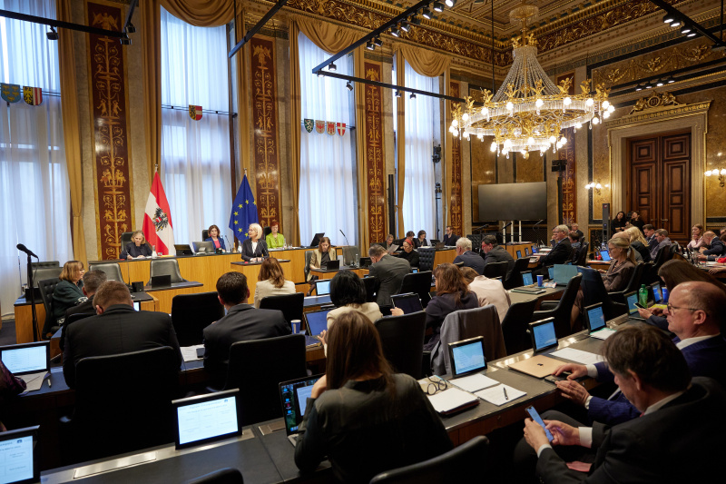 Am Redner:innenpult: Bundesrätin Gabriele Kolar (SPÖ)