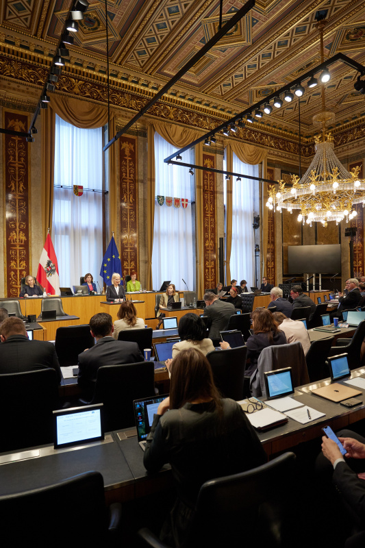 Am Redner:innenpult: Bundesrätin Gabriele Kolar (SPÖ)