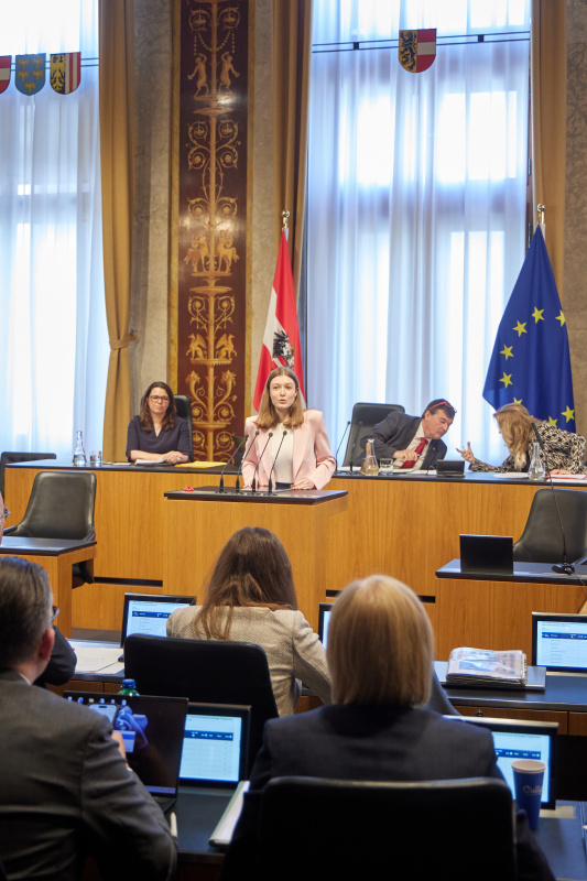 Am Redner:innenpult: Bundesrätin Amelie Muthsam (SPÖ)