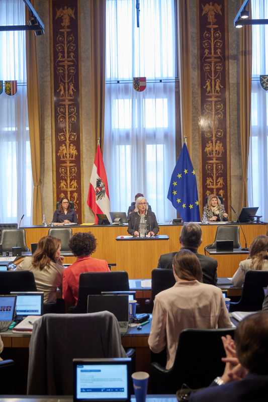 Am Redner:innenpult: Bundesrätin Irene Partl (FPÖ)