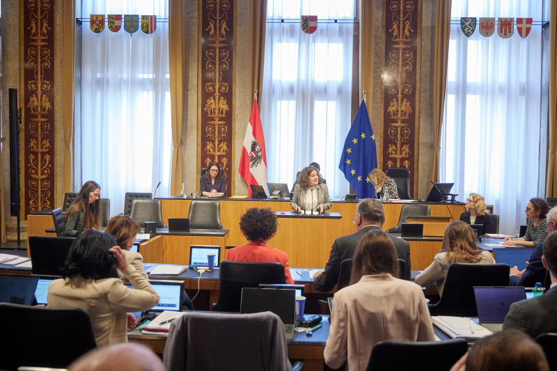 Am Redner:innenpult: Bundesrätin Elisabeth Kittl (GRÜNE)