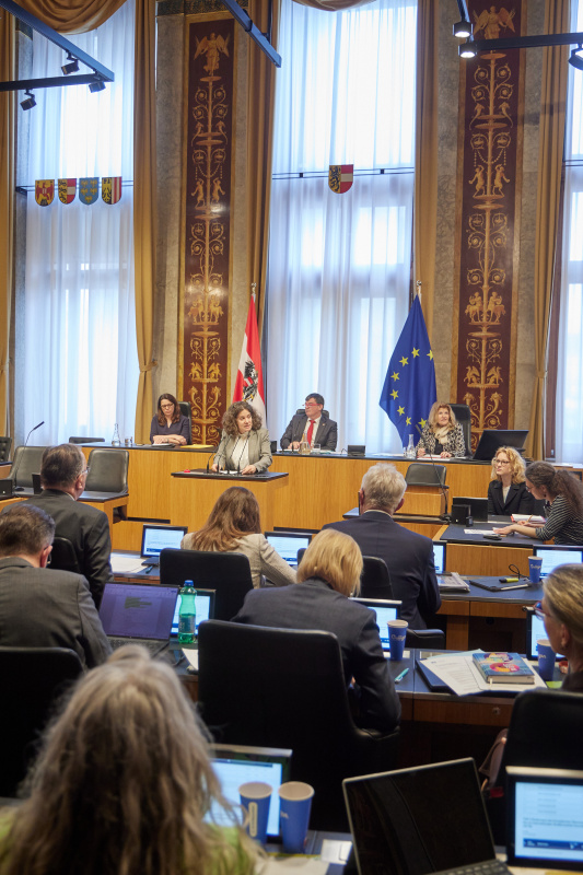 Am Redner:innenpult: Bundesrätin Elisabeth Kittl (GRÜNE)