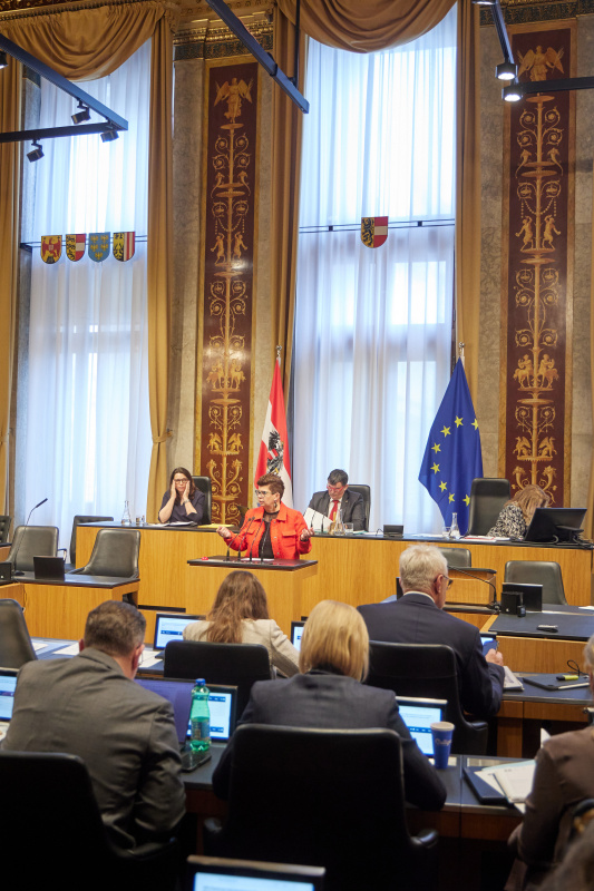 Am Redner:innenpult: Bundesrätin Bernadette Kerschler (SPÖ)