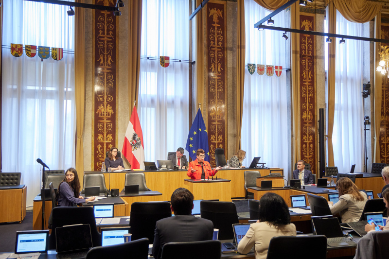 Am Redner:innenpult: Bundesrätin Bernadette Kerschler (SPÖ)