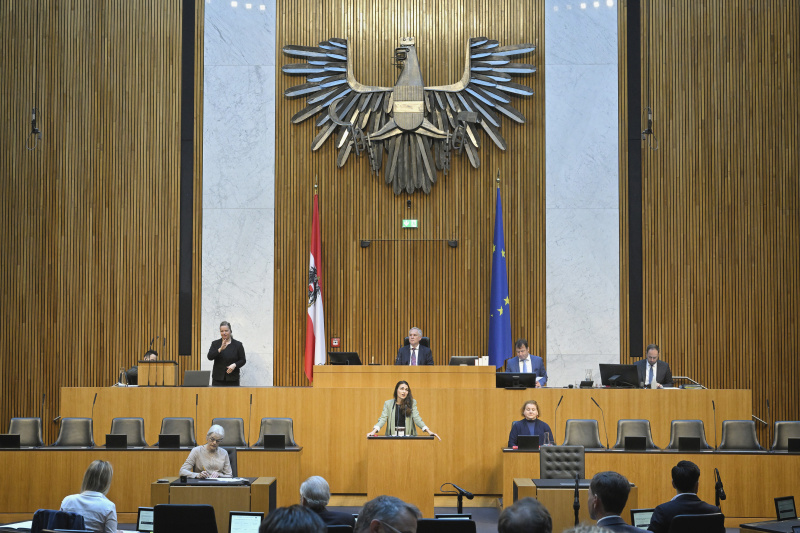 Am Redner:innenpult: Nationalratsabgeordnete Barbara Neßler (GRÜNE). Blick Richtung Sitzungsteilnehmer:innen